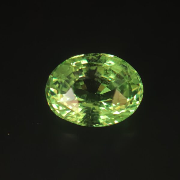 Green Tsavorite Garnet 2.67ct Oval From Kenya