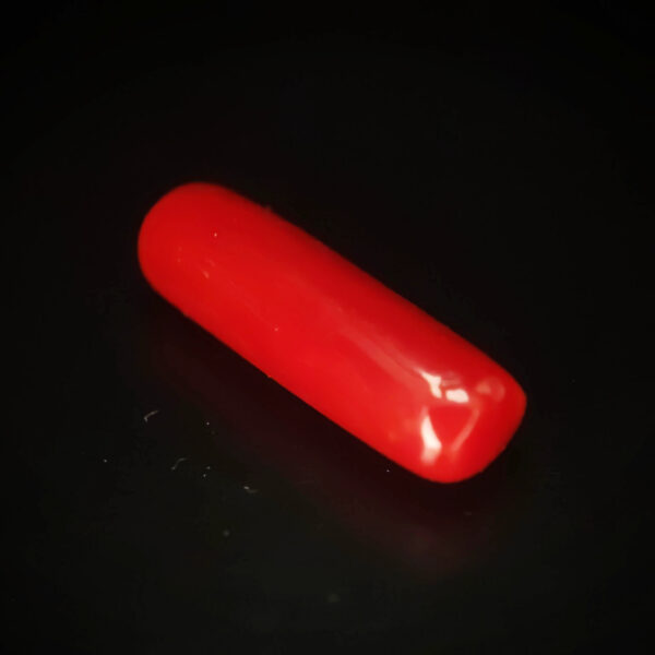 Orangey Red Coral 8.08ct Column - Indonesia