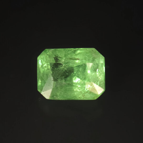 Vivid Green Tsavorite 3.19ct Octagon - Tanzania