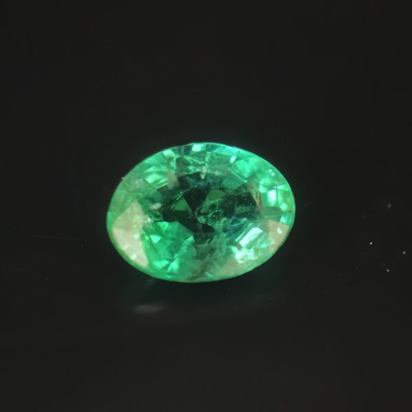 Minor Oiled Green Emerald 1.00ct Oval - Zambia