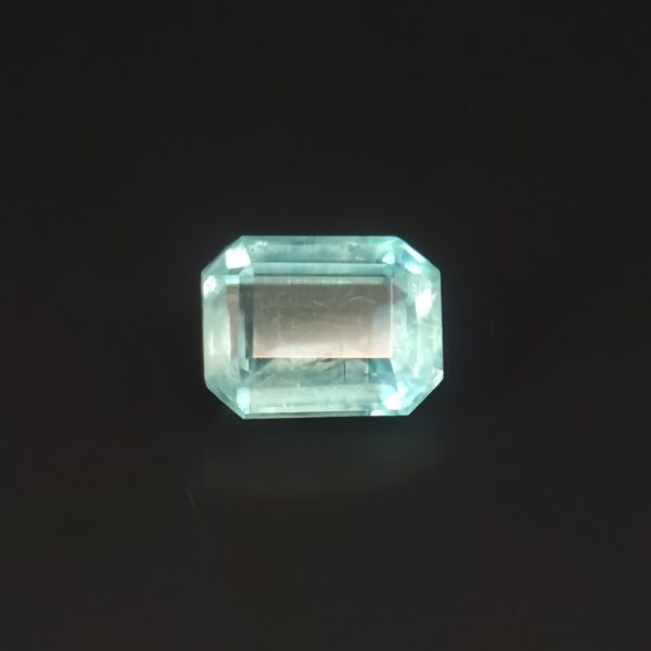 Greenish Blue Beryl 1.13ct Octagon From Pakistan