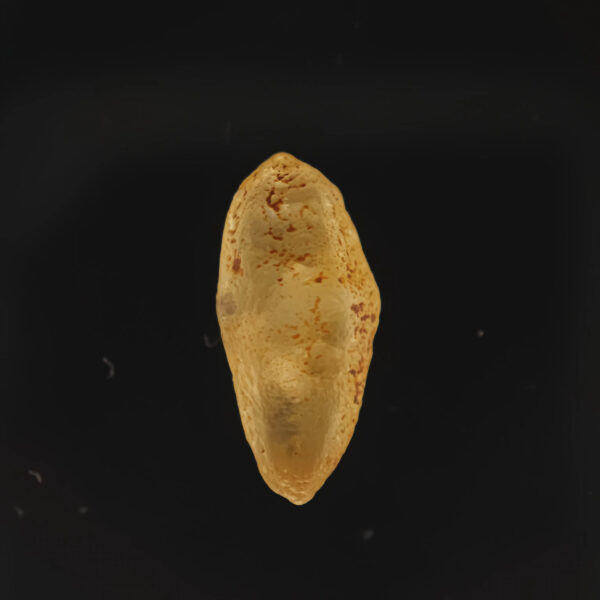 Yellow Sapphire Crystal 5.85ct From Sri Lanka