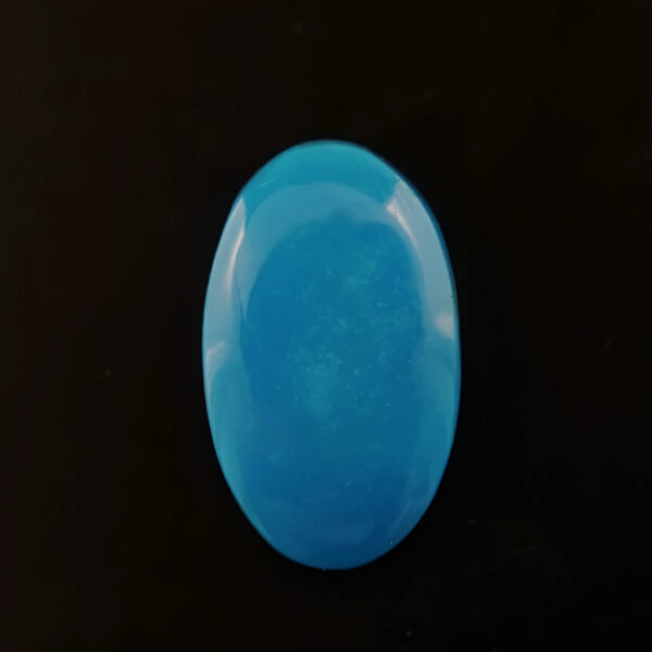 No Matrix Turquoise 13.60ct Oval From Arizona