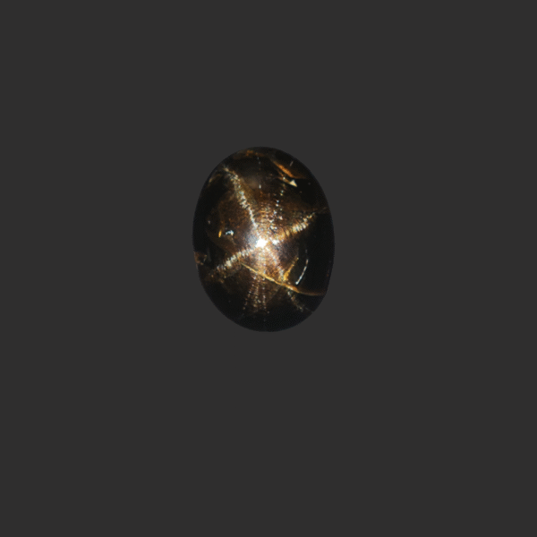 Black Star Garnet 14.48ct Oval From Sri Lanka