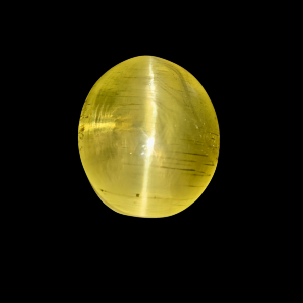 IMG 20260329 210647 Photoroom