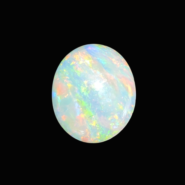 IMG 20260402 172329 Photoroom